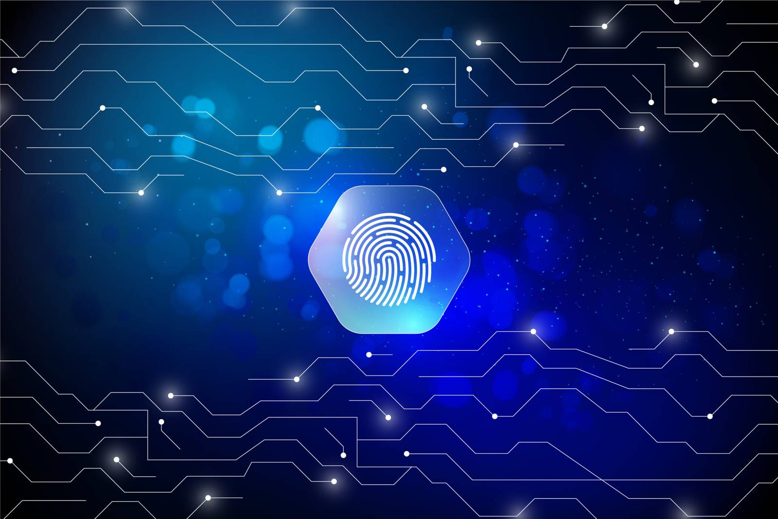 Blockchain and the Future of Digital Identity