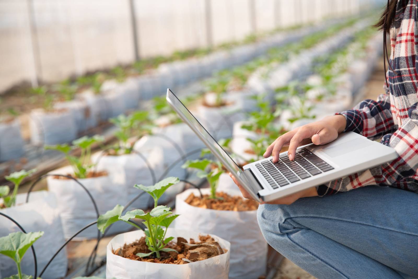 Tech in Agriculture: Precision Farming and Sustainability