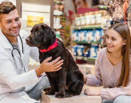 Pet Care in Brampton: Veterinarians, Groomers, and Pet Services 7 Pet Care in Brampton: Veterinarians, Groomers, and Pet Services