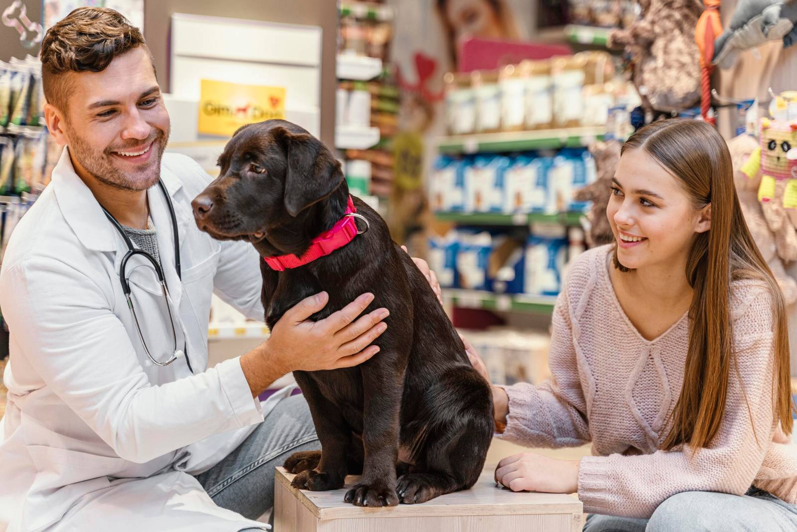 Pet Care in Brampton: Veterinarians, Groomers, and Pet Services 2 Pet Care in Brampton: Veterinarians, Groomers, and Pet Services