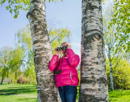 Oakville's Best Parks and Trails: A Nature Lover's Guide