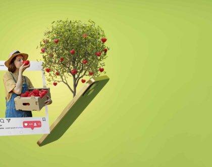 Social Media Advertising