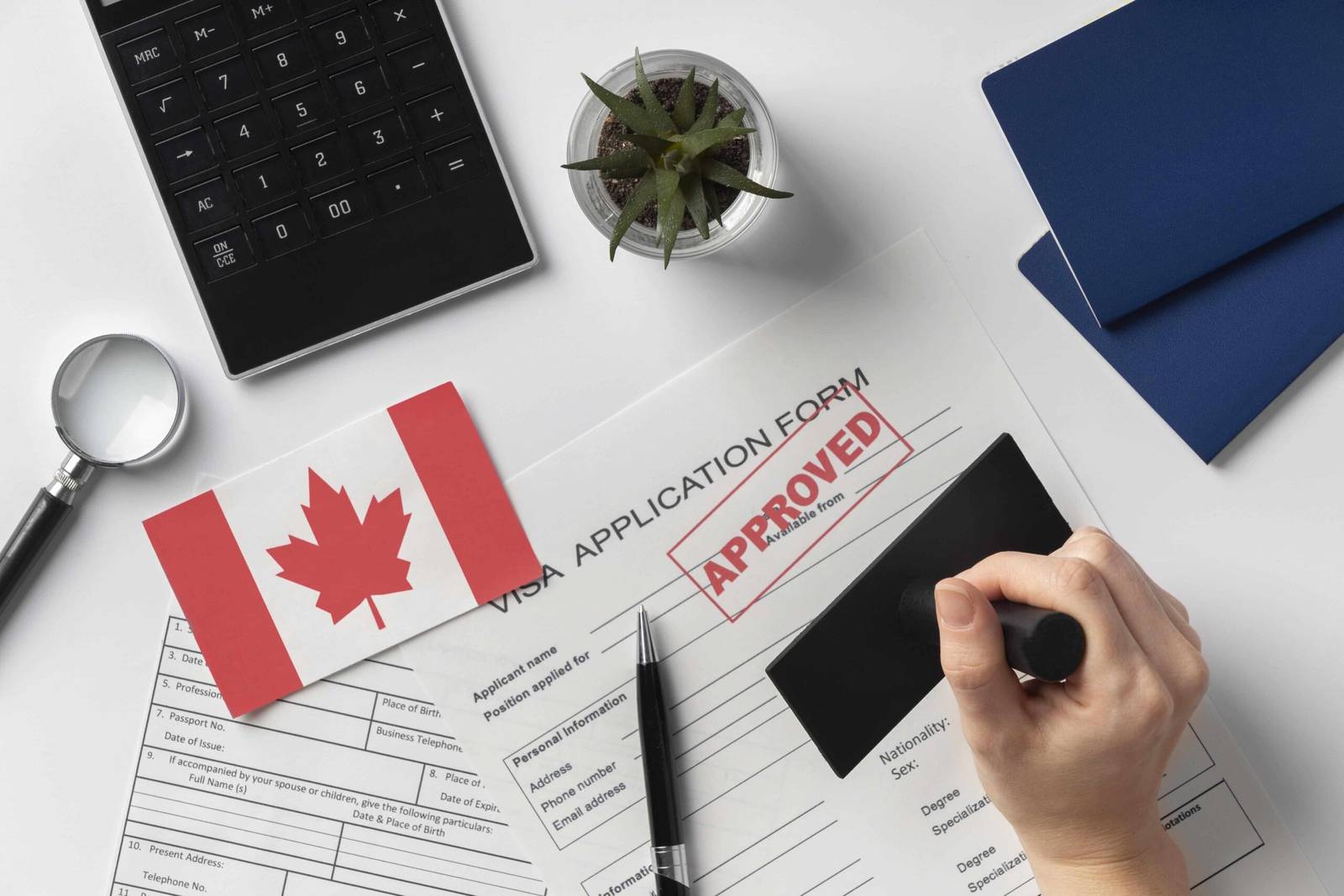 The Importance of a Strong Brand Identity in Canada 2 The Importance of a Strong Brand Identity in Canada